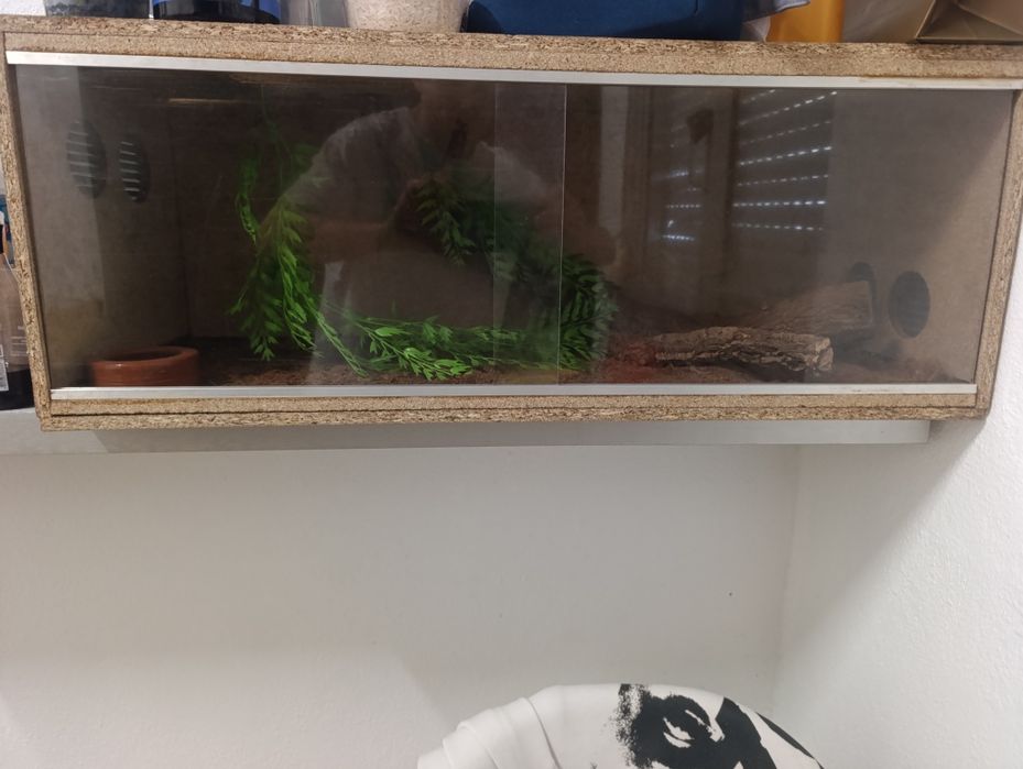 terrario  para répteis