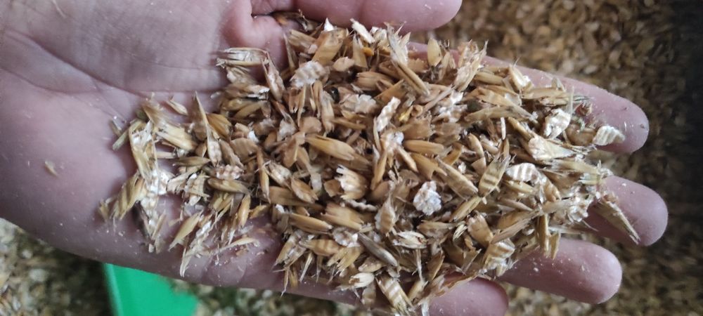 Owies gnieciony dla koni - zwierząt