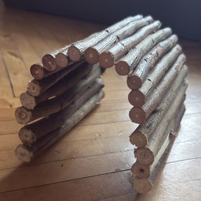 Комплект для гризунів