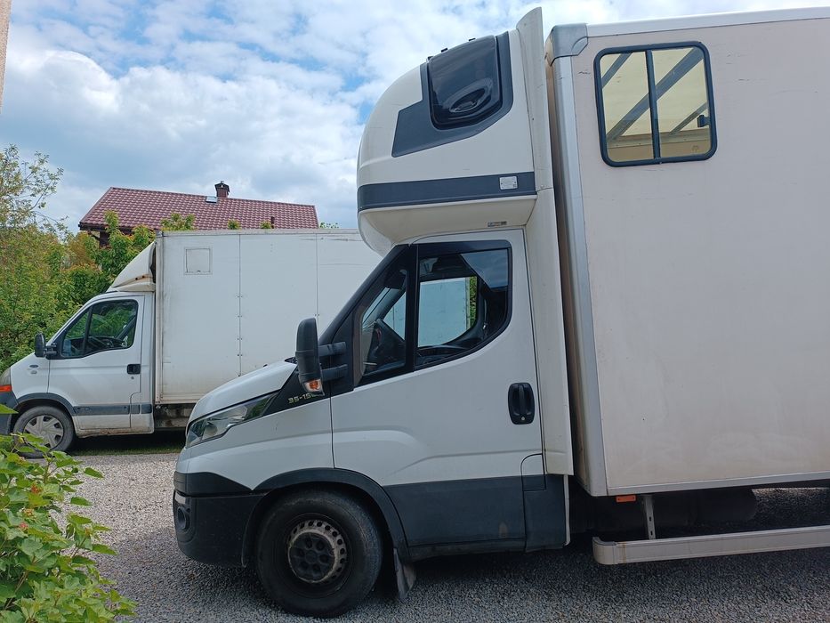 Transport przeprowadzki transport zwierząt