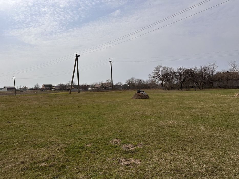 Земельна ділянка будинок земля 39 соток Велика Стариця Синьківка