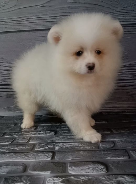 Малюк шукає родину