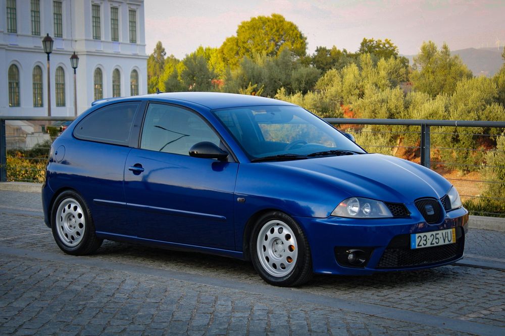 Seat Ibiza 6L PD 3xx