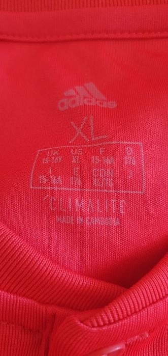 Camisola Oficial Benfica Adidas, época 18/19