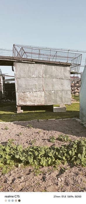 Gołębnik dla hodowcy