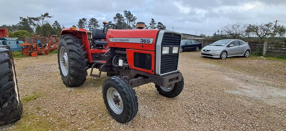 Massey ferguson 365