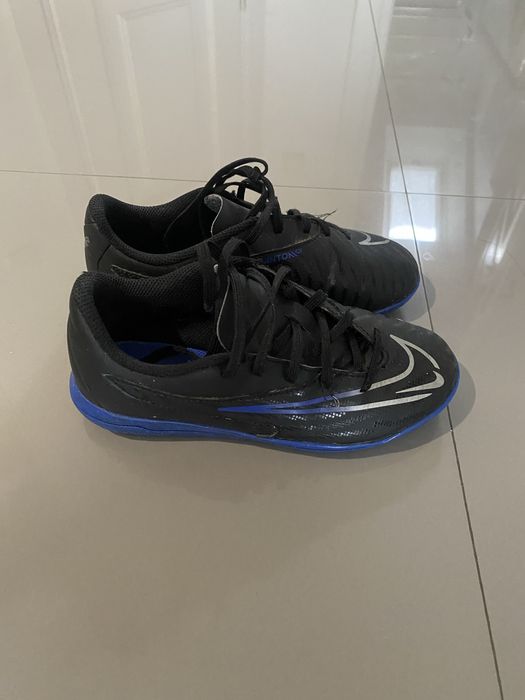 Сороконіжки дитячі