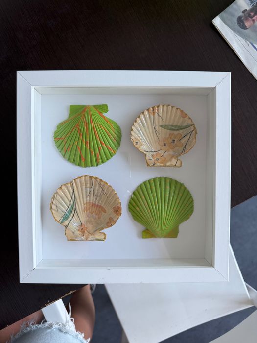 Arte com conchas