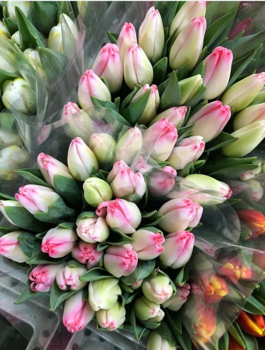 Тюльпани.Букети з тюльпанів до 8 березня