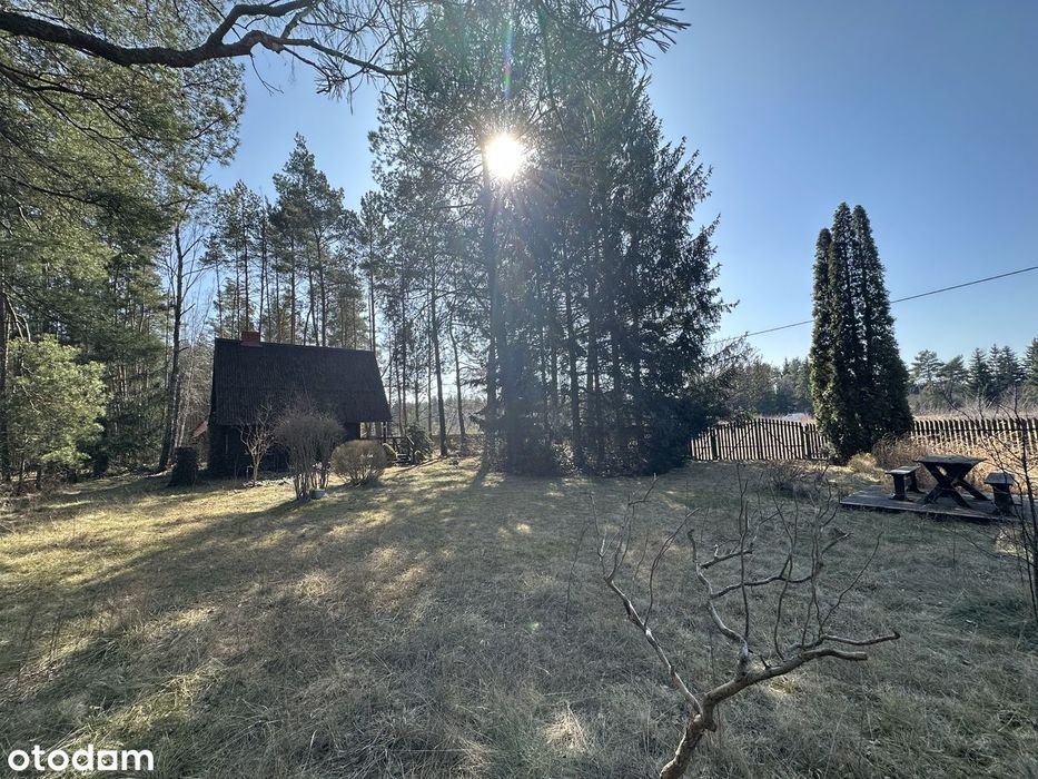 Klimatyczna działka 1620 m² z domkiem w lesie w Kamieńczyku - Rafa - Widok 3