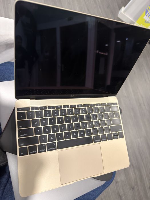 Vendo 2 Notebook Apple.