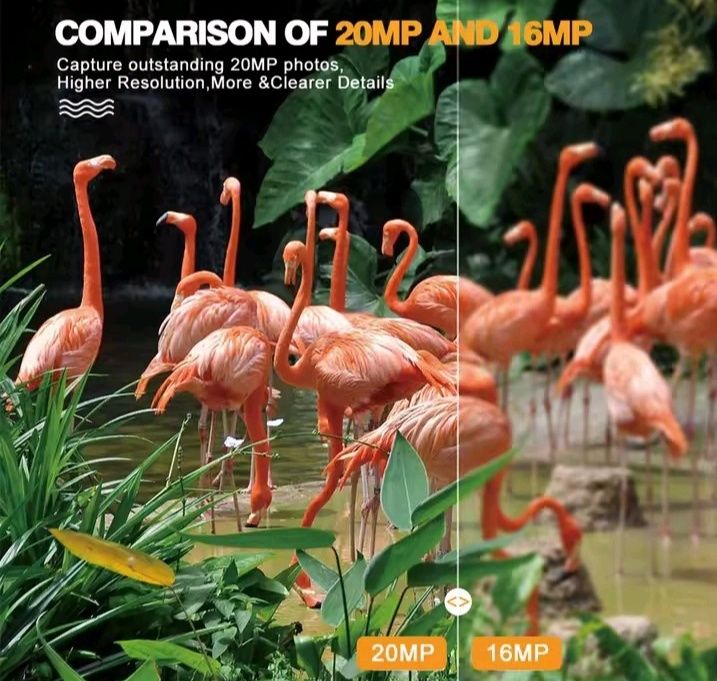 Mini Camara Compacta de Caça