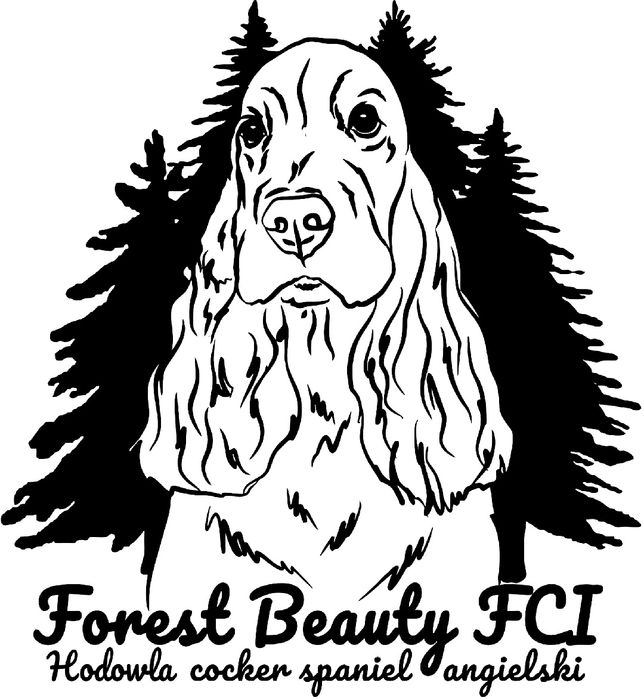 Cocker spaniel angielski
