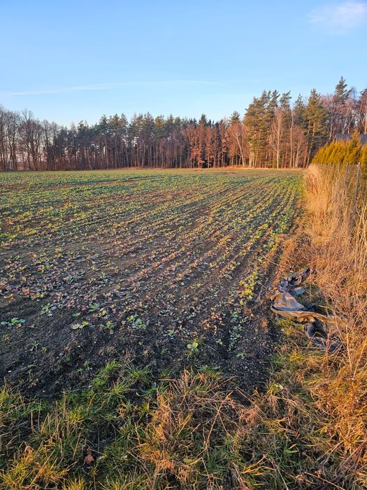 Działki budowlane w spokojnej okolicy