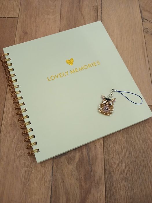 Pełny album karteczki notesowe Disney