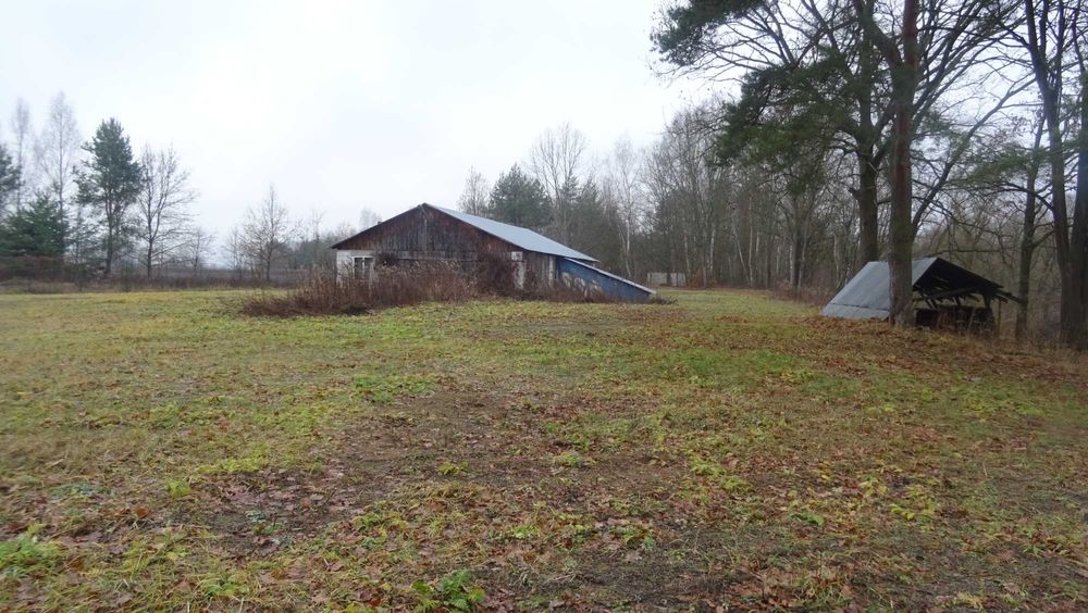 Wynajmę tartak w Pisklakach gmina Łukowa powiat Biłgoraj
