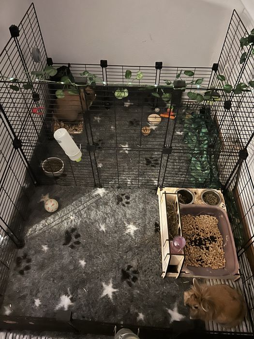 Sprzedam klatkę/ kojec