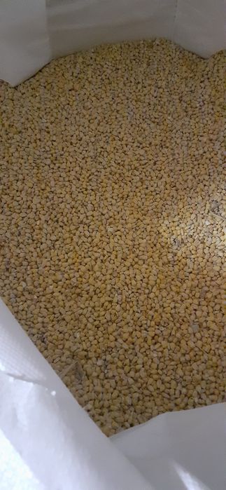 Sprzedam  kukurydze 2025