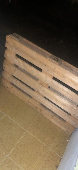 100 paletes EURO