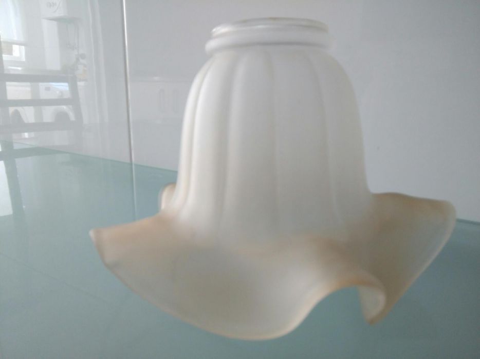 Tulipas antigas