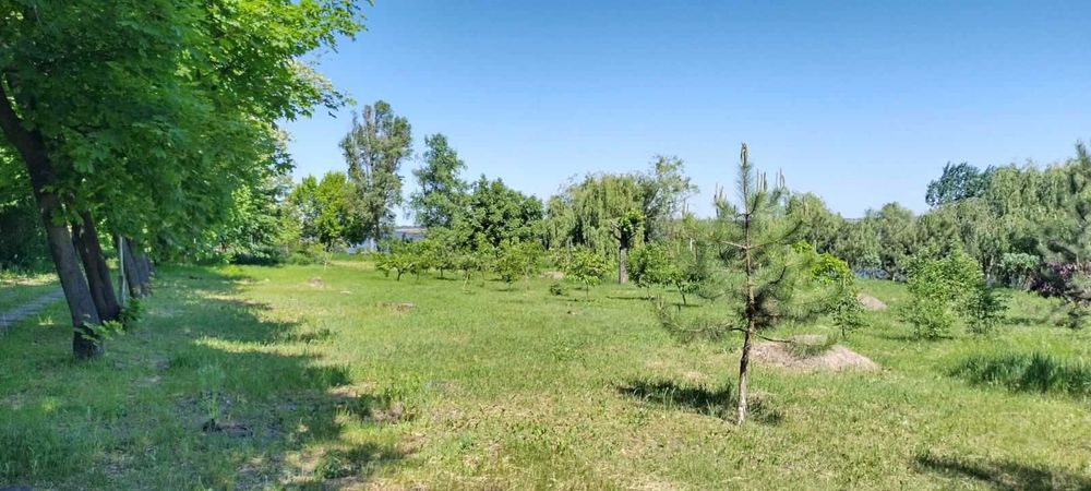 Продаж Бази відпочинку, 4.6 Га з берегом 145 м біля м. Дніпро