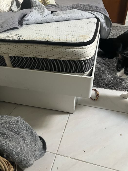 Cama solteiro sommier