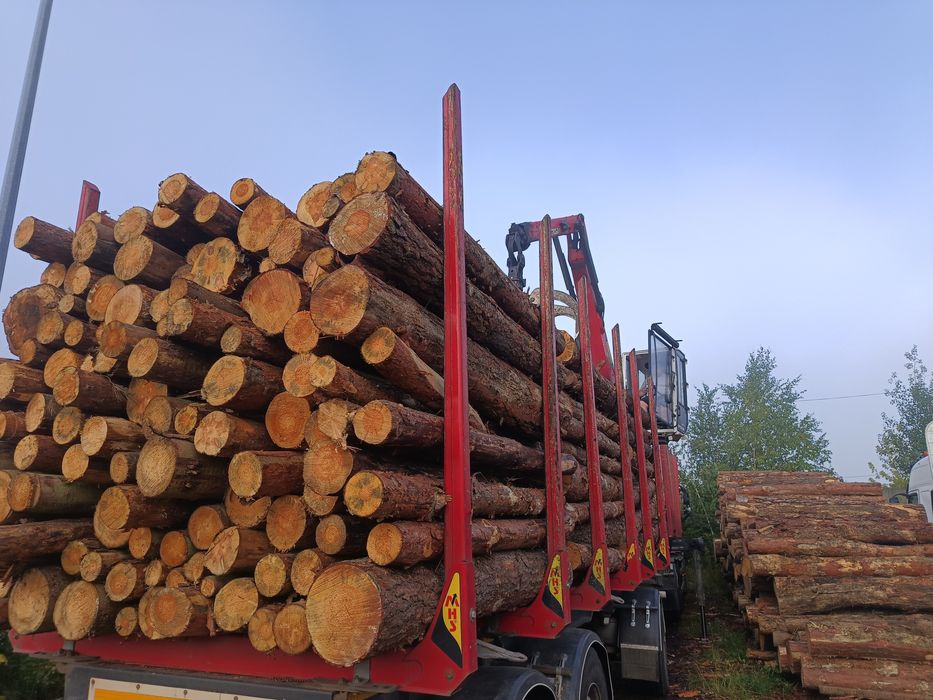 Drewno kominkowe opałowe