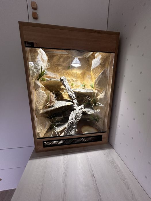 Duże terrarium 85 × 60 × 52,5 cm – kompletne wnętrze