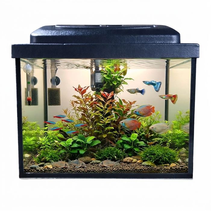 Новий Акваріум 15л з кришкою і підсвіткою (30×25×20)