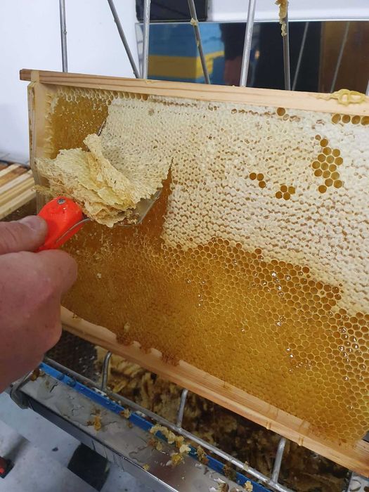 MIODY Naturalne―Pasieka PRADAWNA®1957―Miód LEŚNY borówka-malina-jeżyna