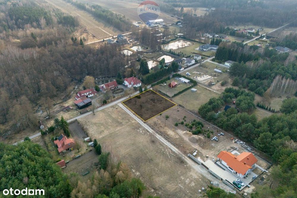 Działka budowlana - Przykory gmina Pniewy - Widok 6