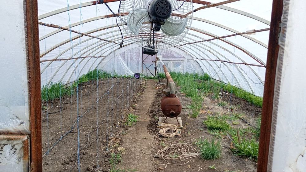 Теплиця велика; 7*12