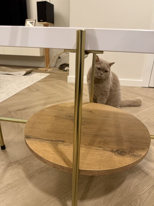 Stolik kawowy dancan arena / złota podstawa + biały i dębowy blat