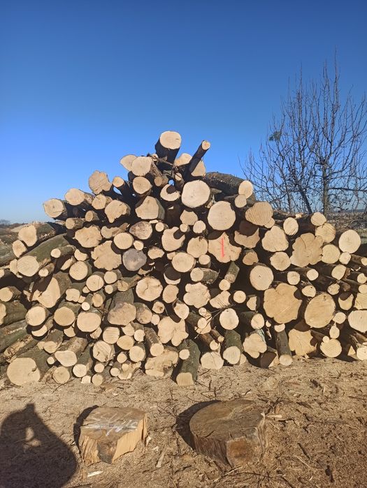 Drewno Opałowe, walki, kominkowe.