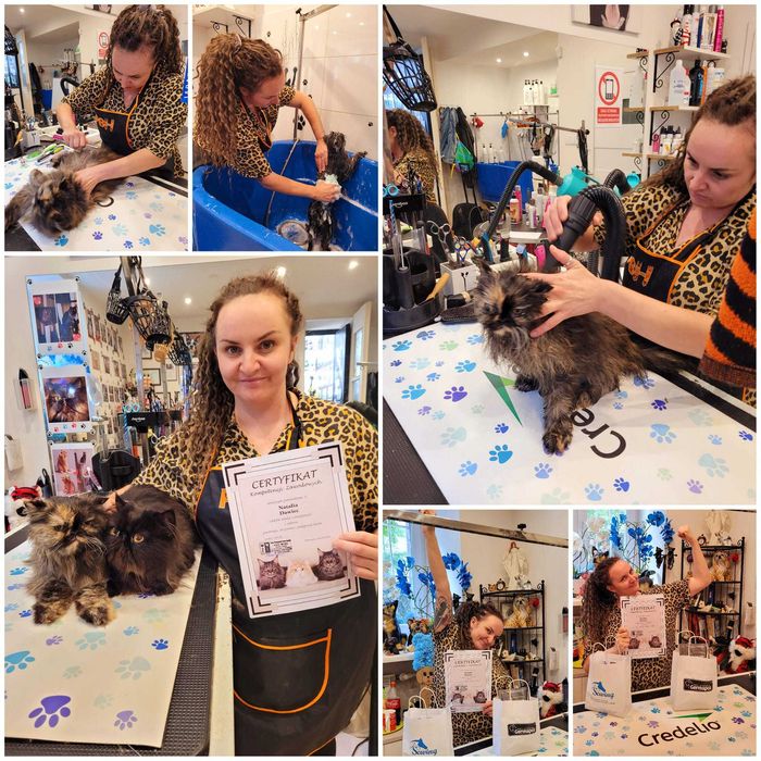 Szkolenie  i seminarium z pielęgnacji Kota