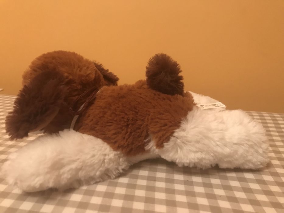 Pluszowy bernardyn z ZAKOPANEGO