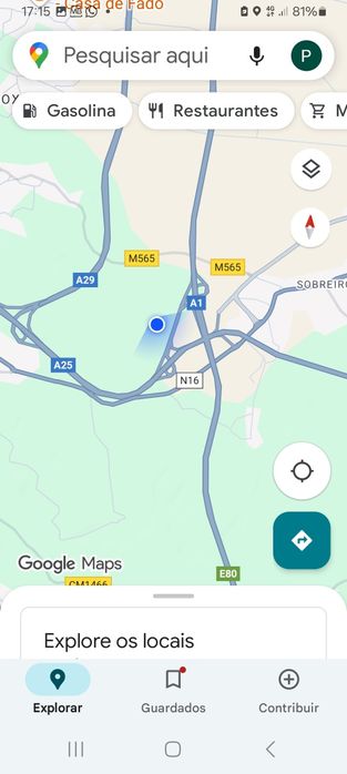 Terreno Pinhal e eucalipto