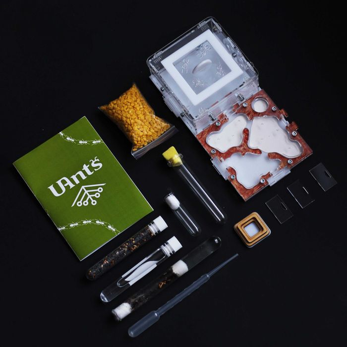 M2-M Муравьиная ферма формфкарій Мурашник Формикарий Подарок