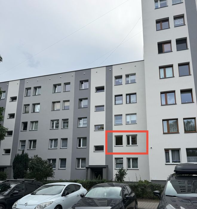 Zdjęcie 8