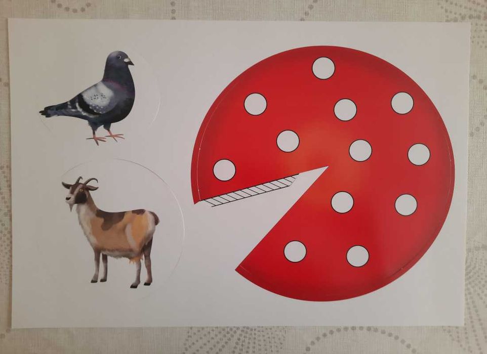 Pobawmy się razem - inscenizacje 4 latki - 12 plansz A3 w dużej teczce