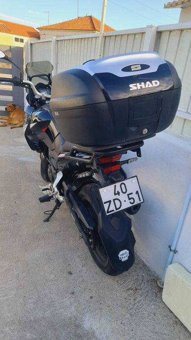 Mota Benelli TRK 251 - 2019