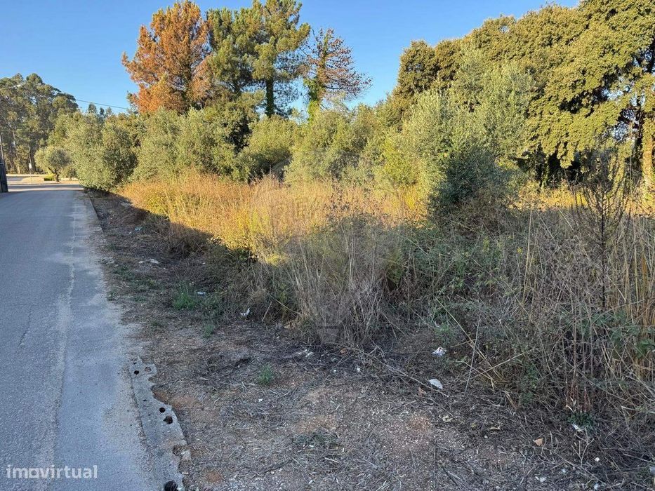 Terreno  para venda — Fátima, Santarém