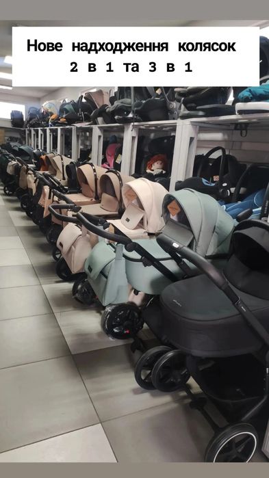 Дитяча коляска Carrello Anex Adamex