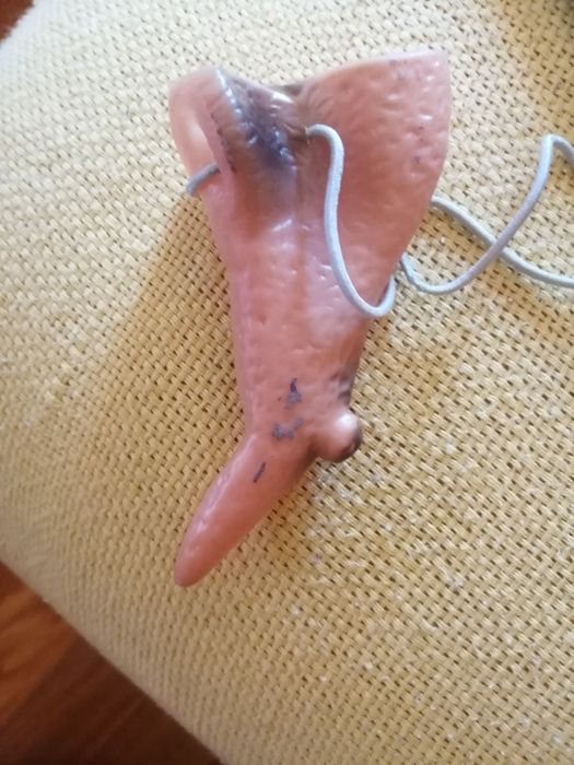 Fantasia de carnaval ou halloween a Bruxa