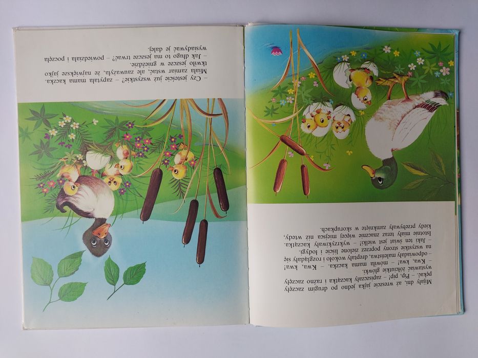 Brzydkie kaczątko - Książka dla dzieci