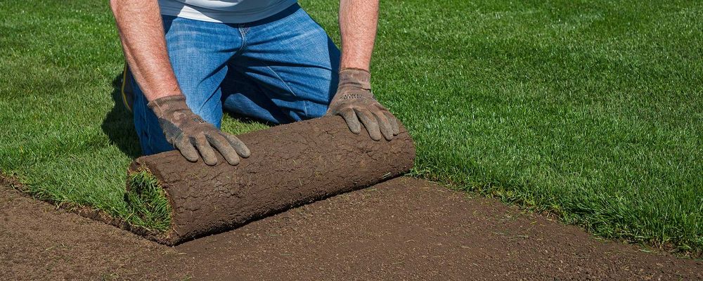 Serviços de Jardinagem e Manutenção