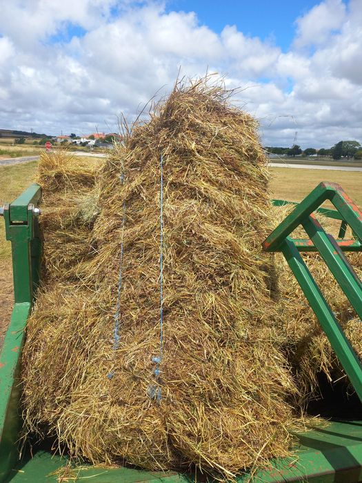 Venda de feno e palha