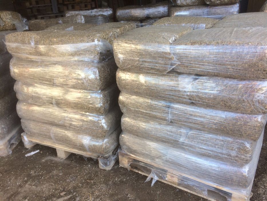 Silagem de milho - Coimbra