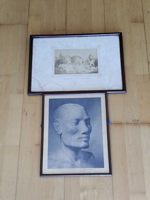 Quadros Antigos com Gravuras, molduras envidraçadas
