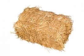 Солома в тюках1-тюк 110грн